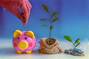 贊宇科技:子公司將逐漸恢復產品的正常出口生產也將逐步恢復