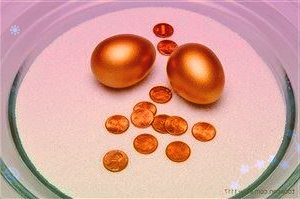 601808中海油服3月28日收盤最新數(shù)據(jù):漲3.05%