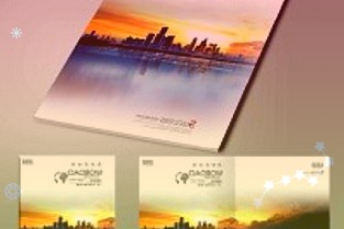 十年京東質保只換不修:大華C900PLUS1T固態硬盤379元新低