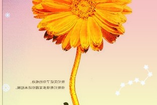 旭升股份603305:營收同比大幅增長客戶結構逐步多元化